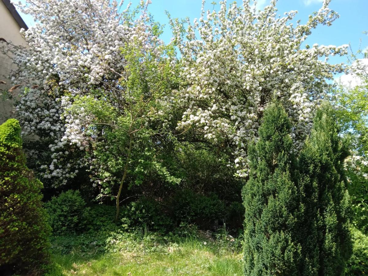 Vakantie Boerderij De Boerenzwaluw Karl Zewnętrze zdjęcie