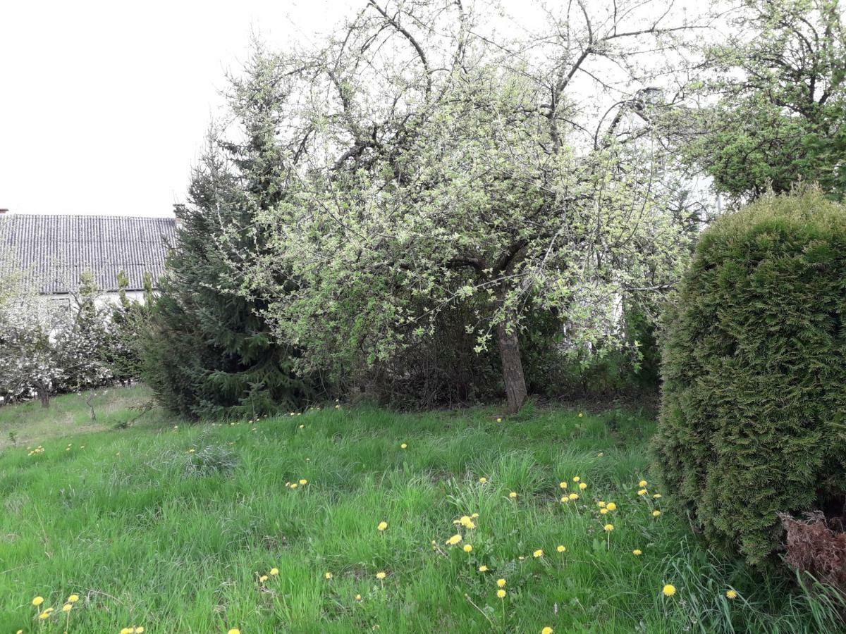 Vakantie Boerderij De Boerenzwaluw Karl Zewnętrze zdjęcie